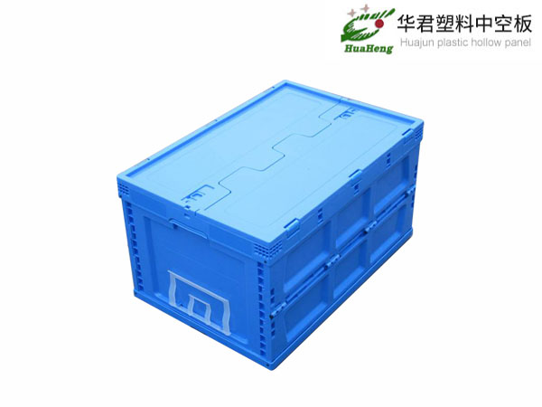 阳江咬盖箱